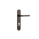 Iver Annecy Door Lever Handle On Oval Backplate - primehardware
