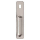 Lockwood 21625NA-P2 External 300x65 Cyl Hole & Pull Plate SS