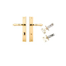IVER Sarlat Lever Door Handle On Rectangular Backplate | Separate Privacy Kit | 10 Finishes - Polished Brass