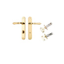 Iver Sarlat Solid Brass Door Lever on Oval Backplate | Separate Privacy Kit | 10 Finishes - Polished Brass