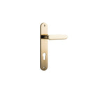 Iver Bronte Door Lever Handle On Oval Backplate - primehardware