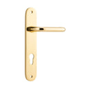Iver Oslo Lever Door Handle On Oval Backplate - primehardware