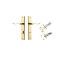 IVER Stirling Door Lever Handle On Rectangular Backplate | Separate Privacy Kit | 8 Finishes - Polished Brass