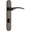 Iver Oxford Solid Brass Door Lever on Oval Backplate | Privacy Lever Set Only | 4 Finishes - Signature Brass