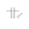 Iver Sarlat Lever Door Handle On Rectangular Backplate - primehardware