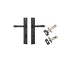 Iver Sarlat Lever Door Handle On Rectangular Backplate - primehardware