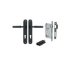 Iver Berlin Door Lever Handle On Oval Backplate - primehardware