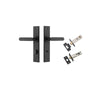 Iver Bronte Door Lever Handle On Chamfered Backplate - primehardware