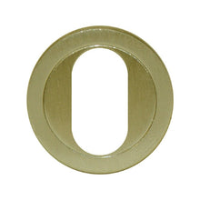 AUSTYLE Escutcheon Oval PVD Anti Tarnish Brass 40mm