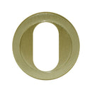 Brass letter 'O' on a white background