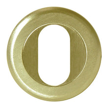 AUSTYLE Architectural Oval Escutcheon Round Edge PVD Anti Tarnish Brass 51mm