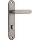 Iver Bronte Door Lever Handle On Oval Backplate - primehardware