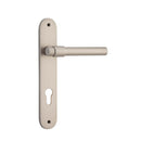 Iver Helsinki Solid Brass Door Lever on Oval Backplate | Entrance Lever Set Only | 7 Finishes - Satin Nickel