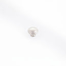 Castella Statement Windsor Knob - primehardware