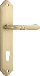 Iver Sarlat Lever Door Handle On Shouldered Backplate - primehardware