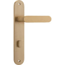 Iver Bronte Solid Brass Door Lever on Oval Backplate | Passage Kit | 7 Finishes - lifestyle