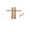 Iver Berlin Solid Brass Door Lever on Oval Backplate | Passage Kit | 7 Finishes - Brushed Brass