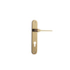Iver Como Door Lever Handle On Oval Backplate - primehardware