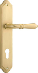 IVER Sarlat Lever Door Handle On Shouldered Backplate | Entrance Lever Set Only | 10 Finishes - Brushed Gold PVD