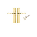 IVER Sarlat Door Lever Handle On Chamfered Backplate | Passage Kit | 10 Finishes - Brushed Gold PVD