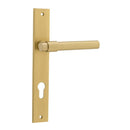 IVER Helsinki Door Lever Handle On Rectangular Backplate | Entrance Lever Set Only | 7 Finishes - Brushed Gold PVD