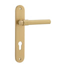 Iver Helsinki Solid Brass Door Lever on Oval Backplate | Entrance Lever Set Only | 7 Finishes - Brushed Gold PVD