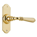 Tradco Reims Lever Door Handle - primehardware