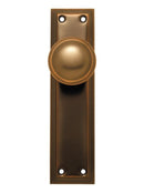 Bronze door handle with rectangular plate on a white background