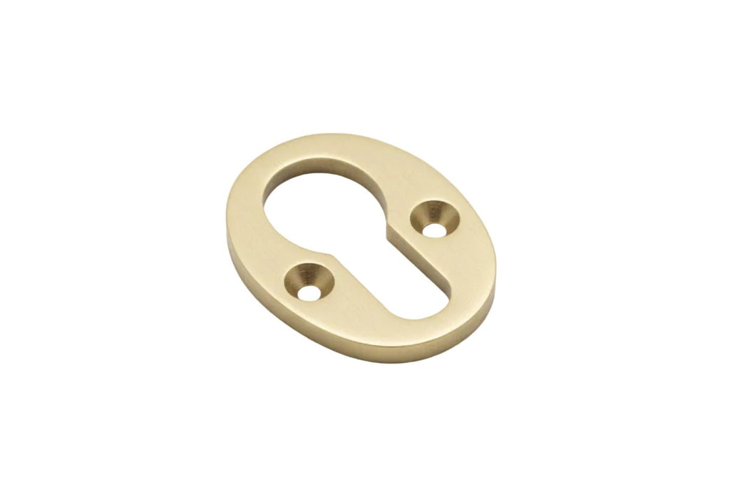Gold metal escutcheon on a white background