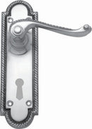 Decorative door handle with intricate design on a white background