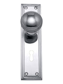 Metal door handle with keyhole on a white background