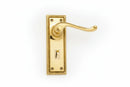 Gold door handle on a white background