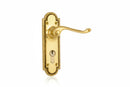 Gold door handle with lock on a white background