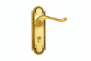 Gold door handle with decorative plate on a white background