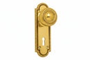 Gold door handle with decorative plate on a white background