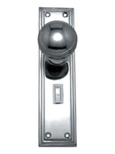 Chrome door handle and plate on a white background