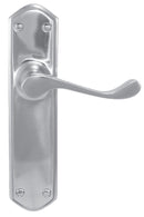 Metal door handle and plate on a white background