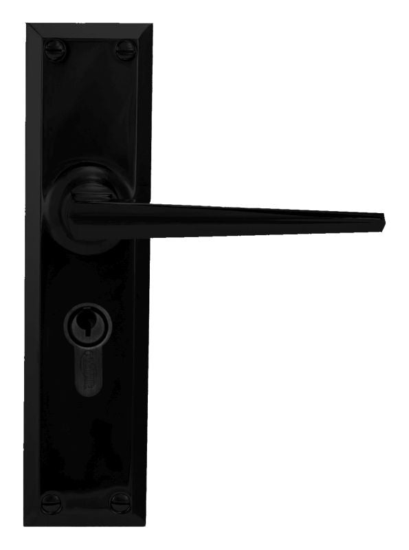 Black door handle and lock mechanism on a white background