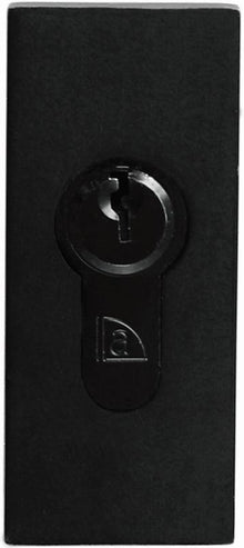 Superior Brass Euro Escutcheon Rectangle Concealed Matt Black 70x30mm