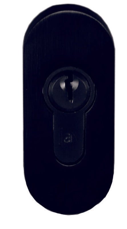 Black oval door handle on a white background
