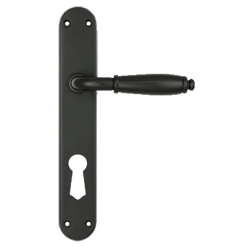 Black door handle with keyhole plate on a white background
