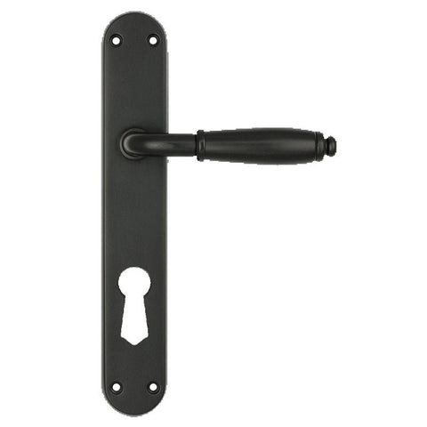 Black door handle with keyhole plate on a white background