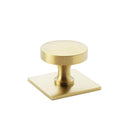 Castella Hastings Cabinet Knob on Backplate 38mm - primehardware