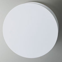 Austyle 300mm Circular Entry Pull Handle | Back to Back | White | 316SS