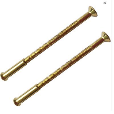 TAustyle hru Fixing S/Steel Screw 65mm with Brass Ferules - primehardware