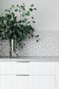 Zanda Delta Elite - primehardware