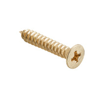 Tradco Screw Hinge Stainless Steel Packet 100 M5xL12mm