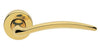 Manital - Francy Lever & Round Rose Door Handle - primehardware