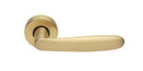 Manital - Imola Lever & Round Rose Door Handle - primehardware