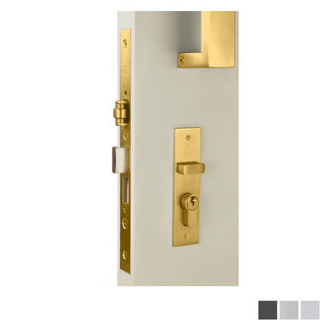 NIDUS Rectangle OZI-3 Roller Mortice Lock Combo | 4 Finishes